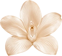 gold flower